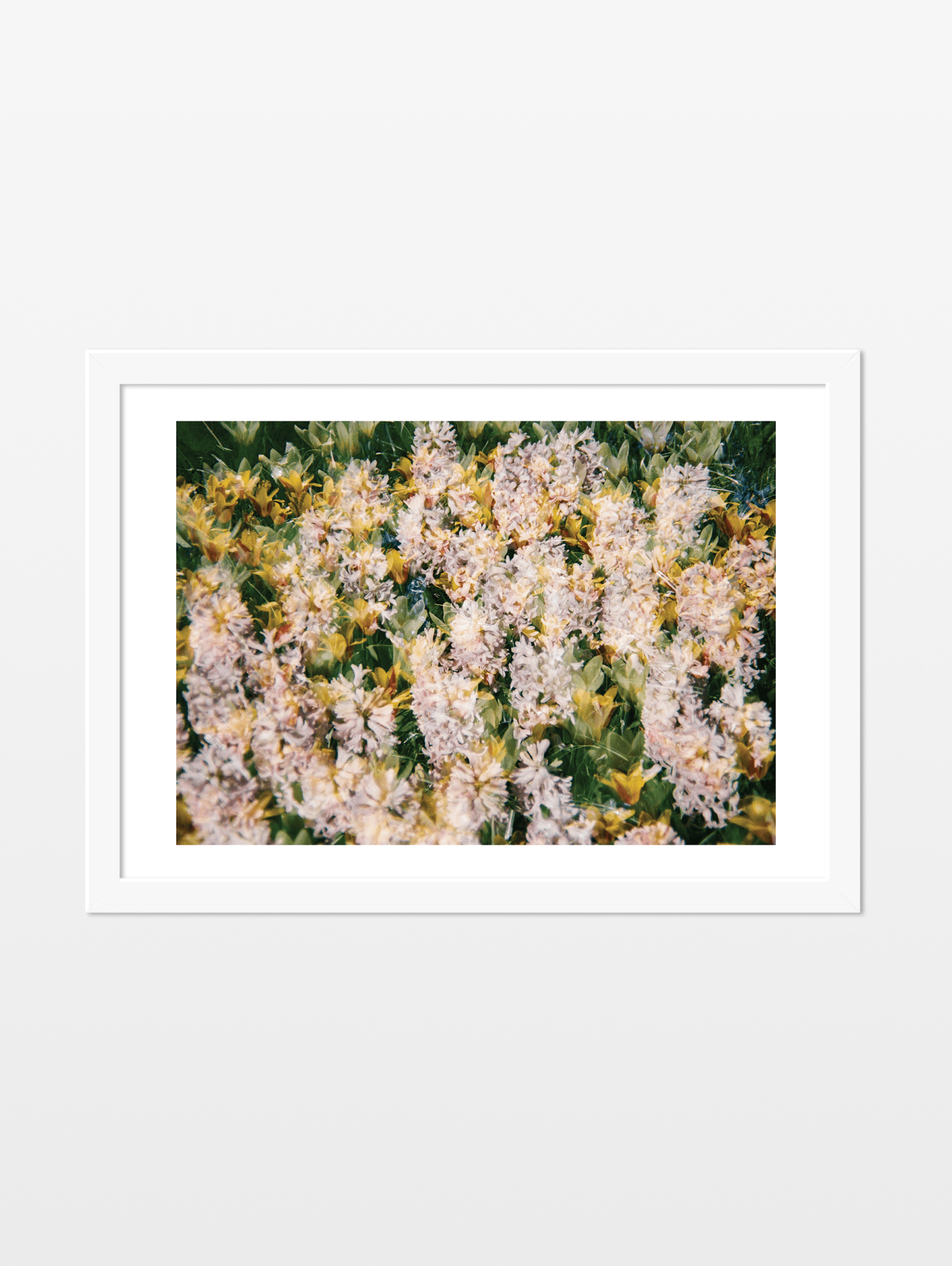 An Abundance of Spring Flowers - souqbawa