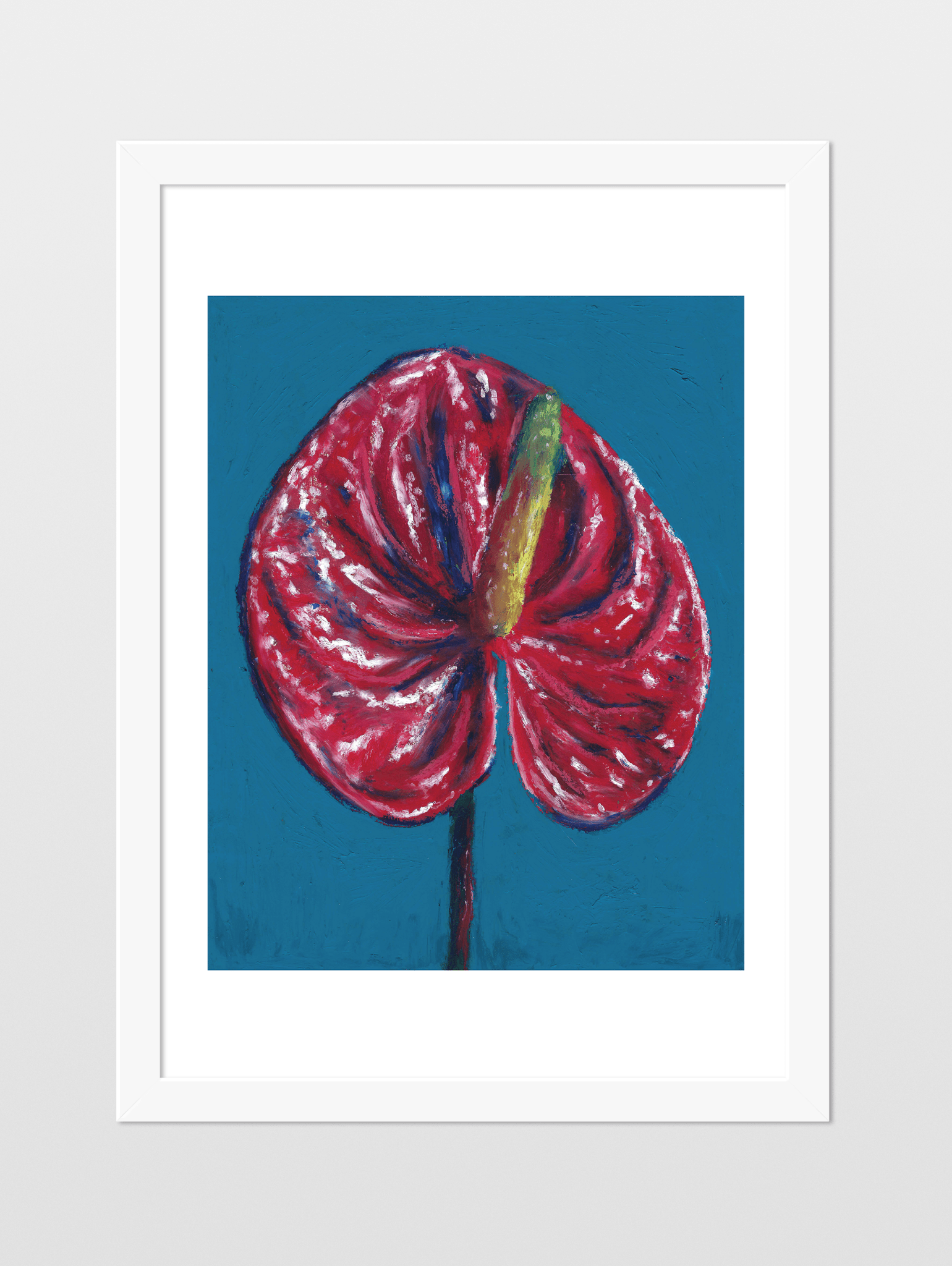 Red Anthurium - souqbawa