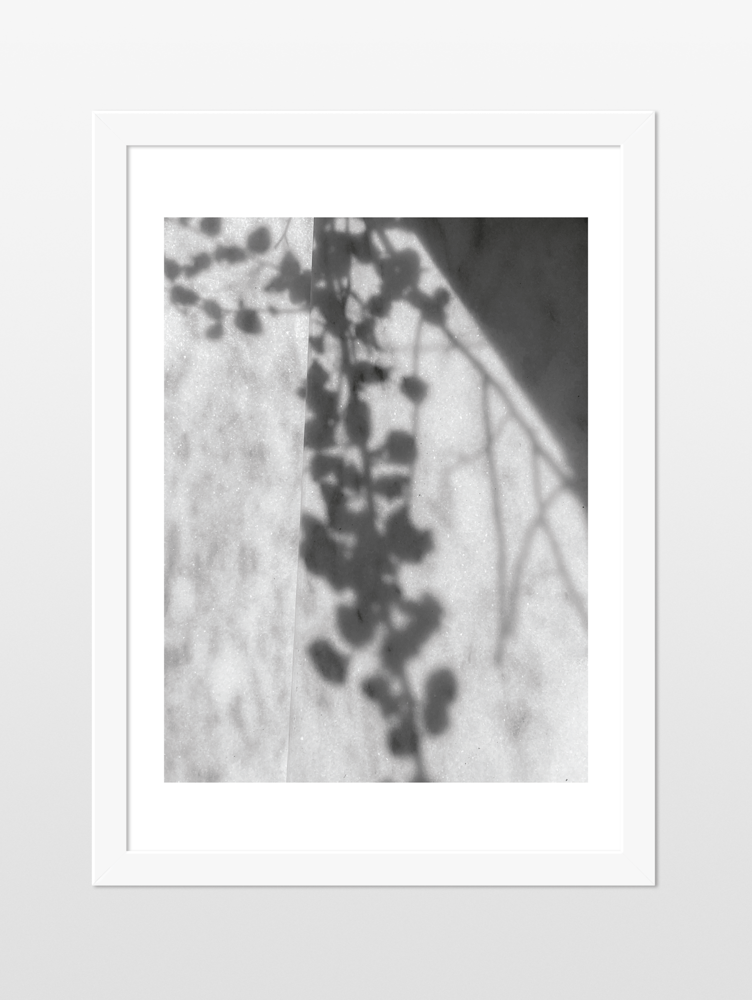 Week five of Spring, 2025 - souqbawa