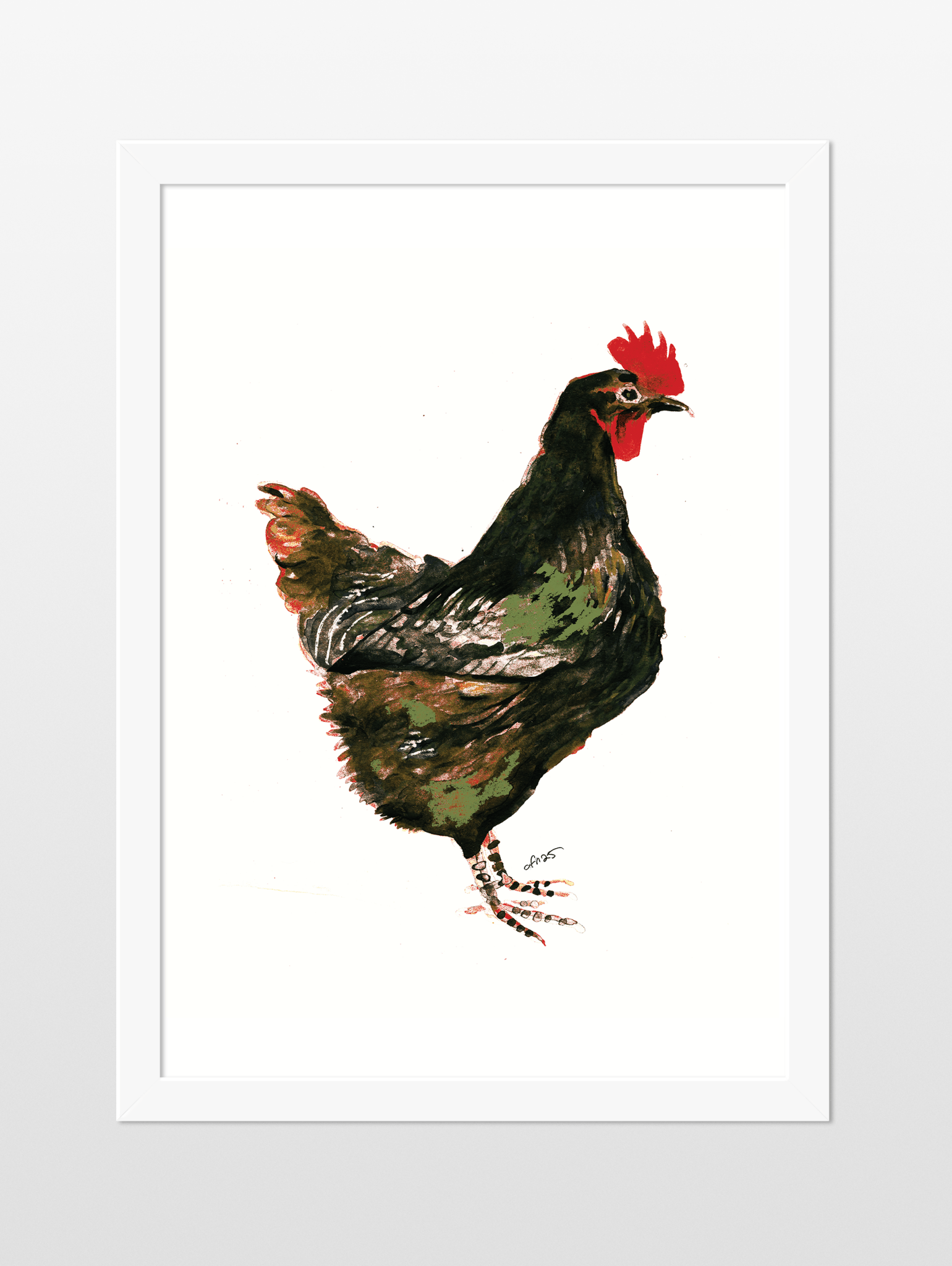 Independent Hen - souqbawa
