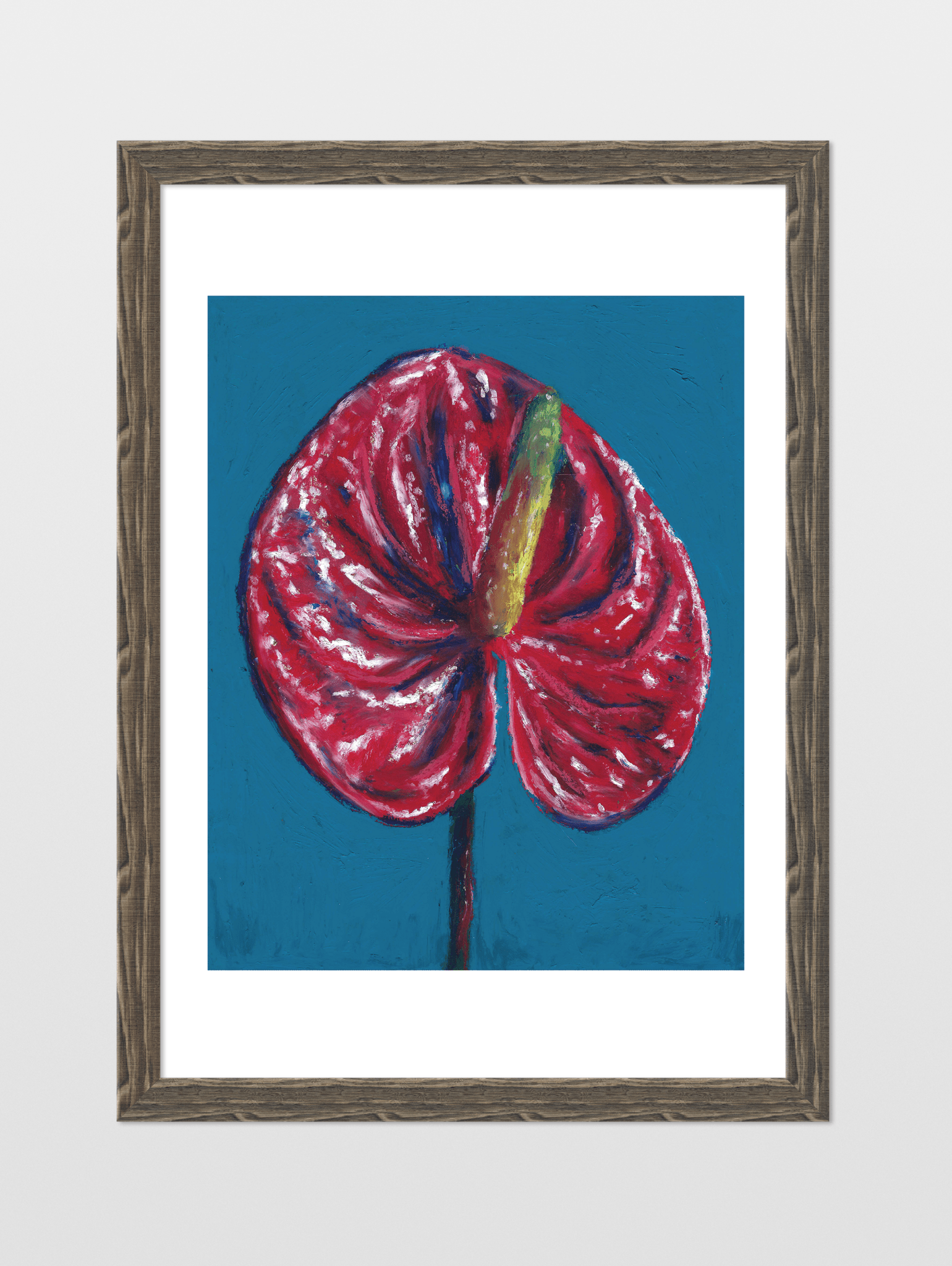 Red Anthurium - souqbawa