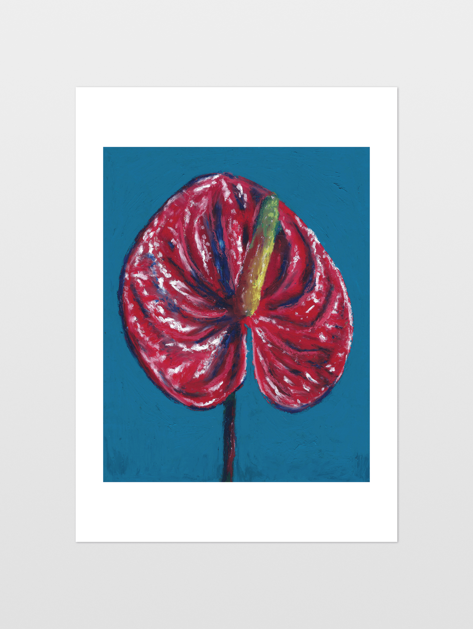 Red Anthurium - souqbawa